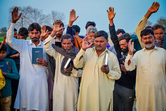 Bible Distribution