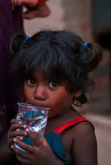 Water filter distribution