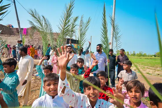 Palm Sunday