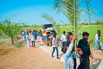 Palm Sunday celebration